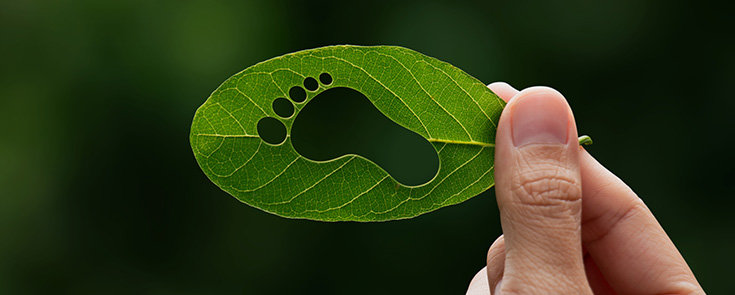 企業排碳健檢及節能減碳輔導